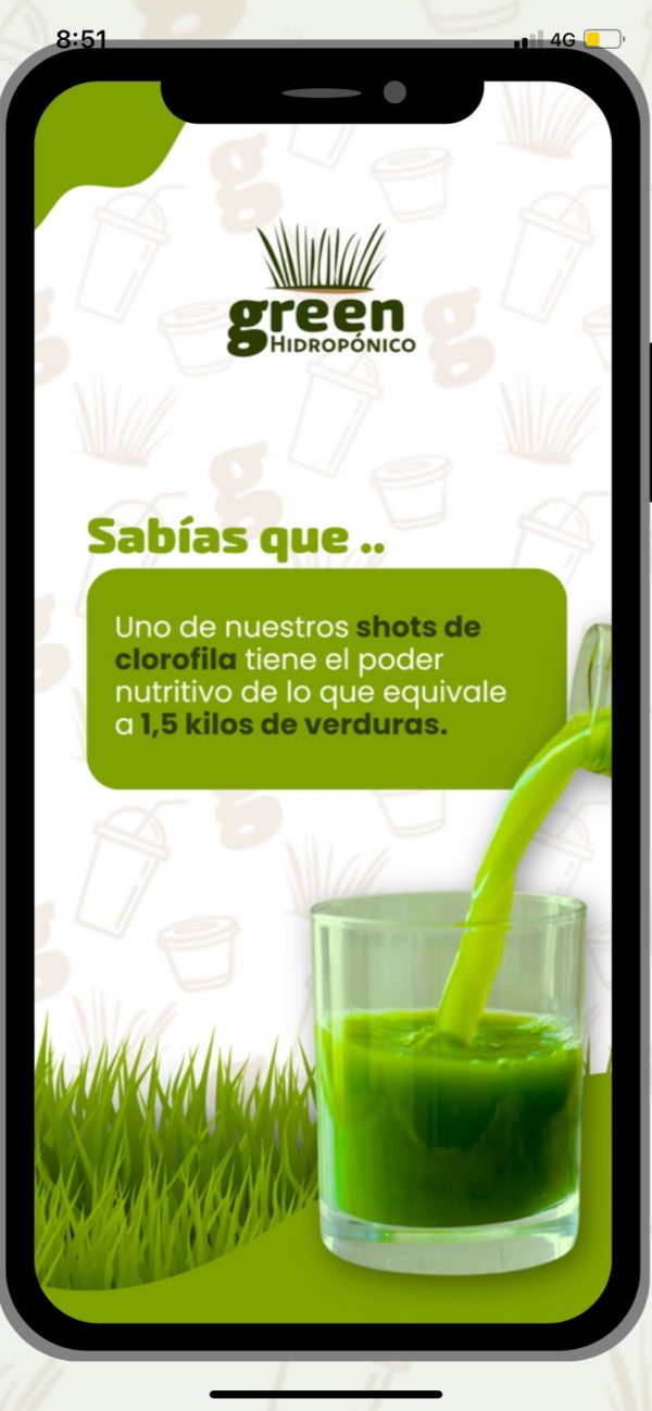 Wheatgrass Clorofila 30 unidades Pack Mensual (copia) - Imagen 5