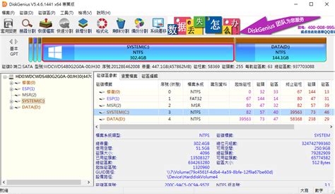 DiskGenius Pro 2025 For Free
