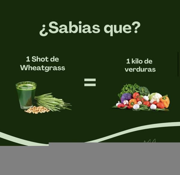 Membresía Wheatgrass clorofila congelada ( Trimestral, Semestral y Anual) - Imagen 9