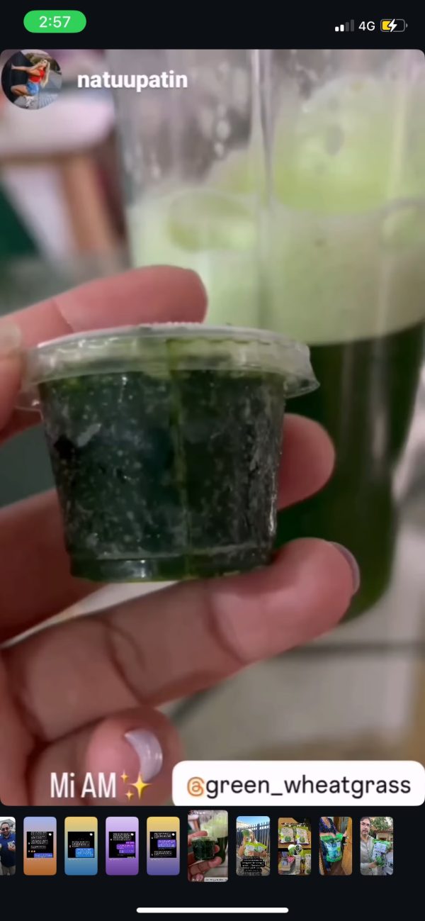 Membresía Wheatgrass clorofila congelada ( Trimestral, Semestral y Anual) - Imagen 8