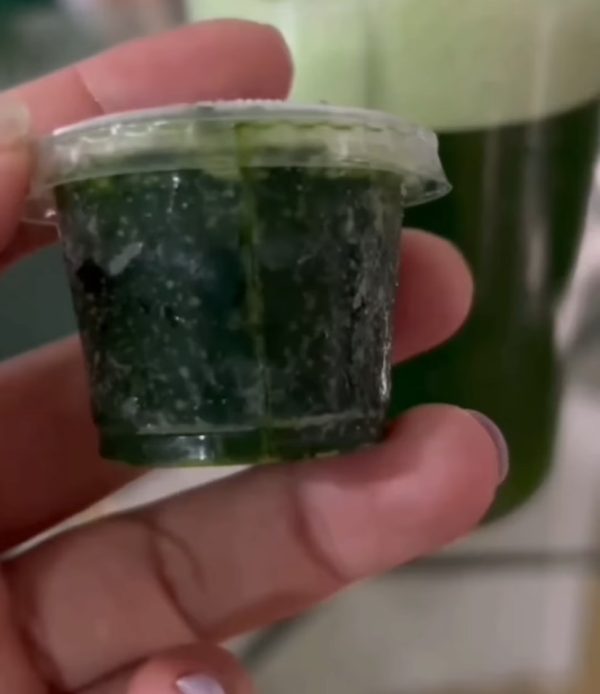 Membresía Wheatgrass clorofila congelada ( Trimestral, Semestral y Anual) - Imagen 8